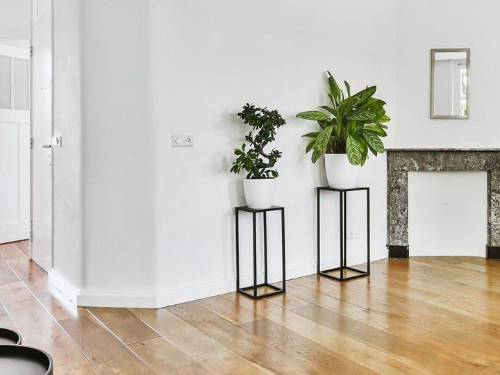 Salón reformado y vacío, con paredes blancas, suelo de roble, chimenea de mármol y plantas sobre peanas