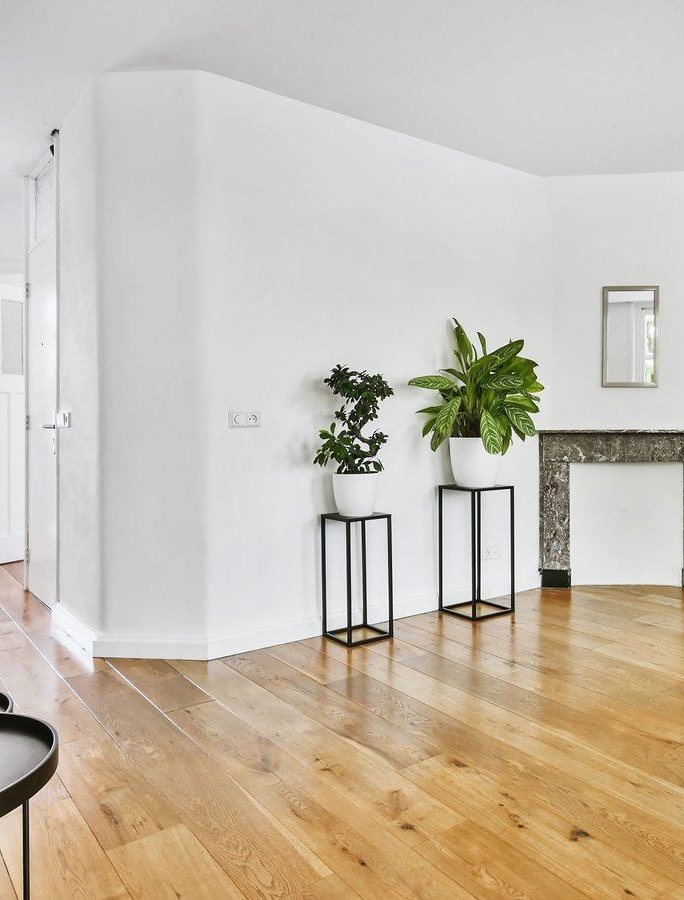 Salón reformado con tarima de roble, paredes blancas y plantas